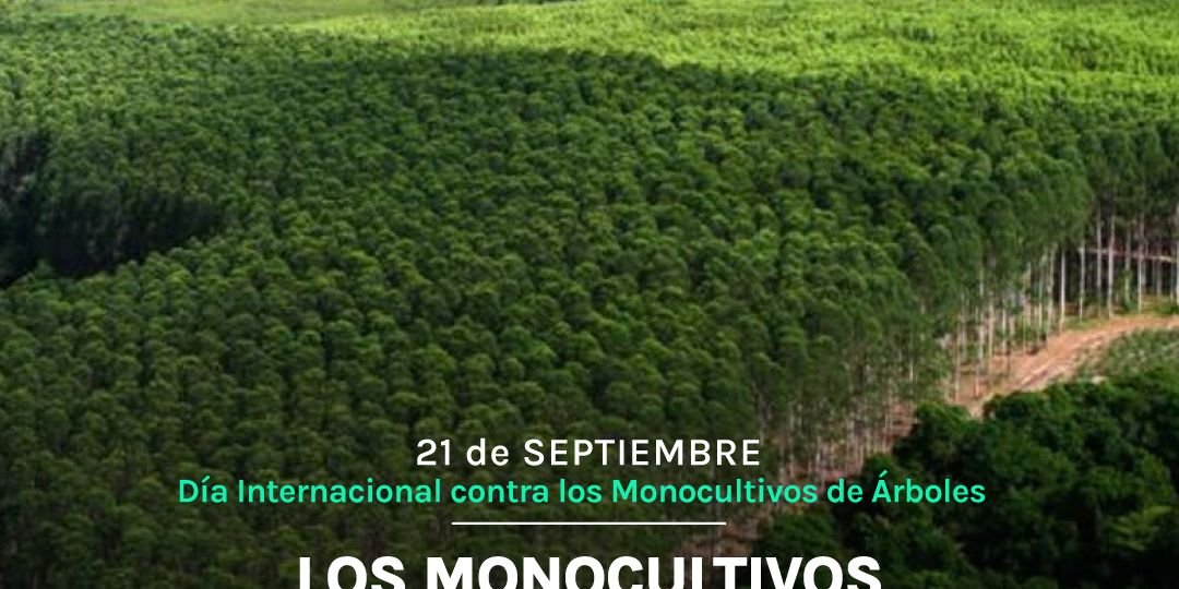 MONOCULTIVOS